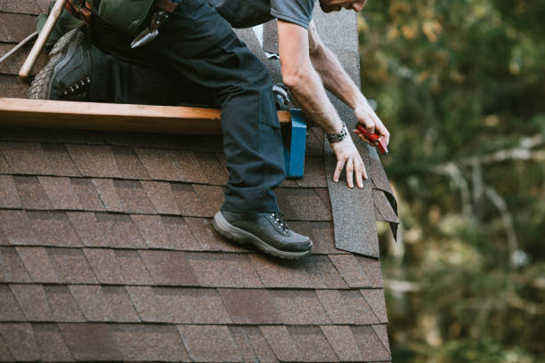 Best Roof Gutter Cleaning  in Dodge Center, MN